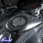 ワンダーリッヒ カーボンタンクサイドカバー BMW S1000R / S1000RR